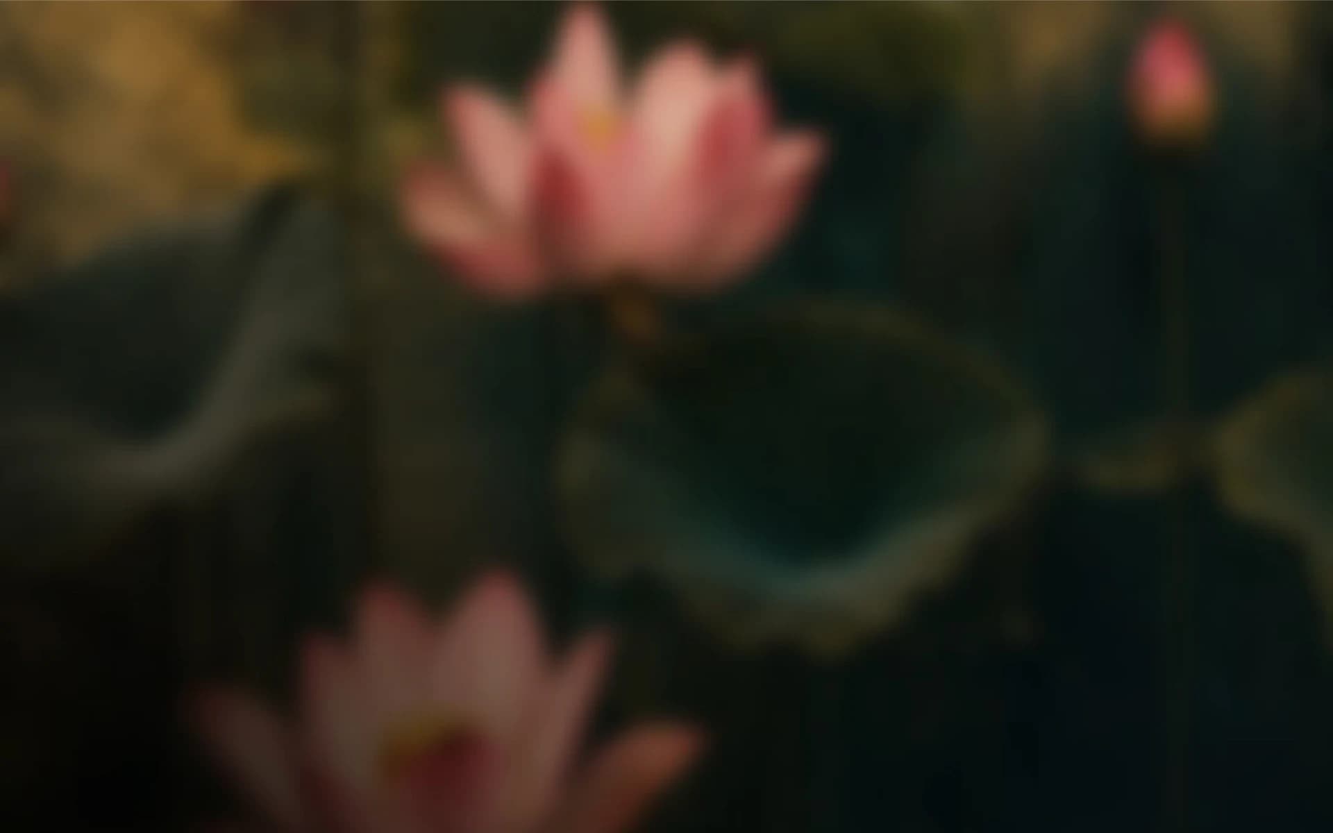 Find Us background